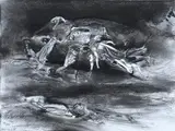 James Gleeson, Study for the Onset of a Troubled Season