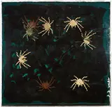 Ed Moses, Tarantula Window
