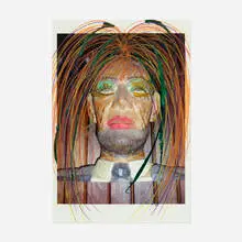Rachel Harrison, Untitled (Abe 2), 2009, mixed media on inkjet print