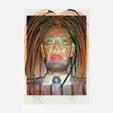 Rachel Harrison, Untitled (Abe 2), 2009, mixed media on inkjet print