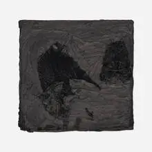Tony Lewis, Skin and Bones, 2015, oil and graphite powder on canvas