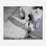 Vik Muniz, Disaster