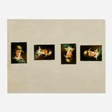 George Deem, The Torn Hat - A Completed Description (Thomas Sully)