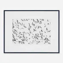 Seagulls in Flight by Herbert Matter, gelatin silver print, sold Sep 2013