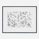 Herbert Matter, Seagulls in Flight, gelatin silver print