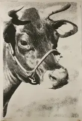 Untitled by Andy Warhol, 1928-1987) COW POSTER Screenprint, sold Jul 2019