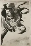 Untitled by Andy Warhol, 1928-1987) COW POSTER Screenprint, sold Jul 2019