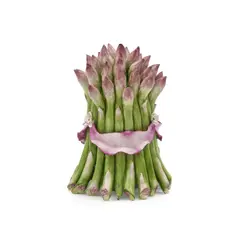 Katherine Houston Ceramic Tied Asparagus, • United States of America