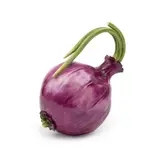 Katherine Houston Ceramic Red Onion, • United States of America