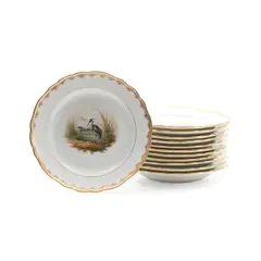 Twelve Meissen Porcelain Bird Plates, Germany, early 20th century,