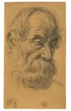 Adolph von Menzel, Kopf eines bärtigen Mannes