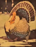 Allan Jordan, The Gobbler, linocut 3/50