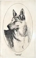 Victor Cobb, Arno, 1926, etching 7/50