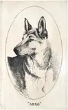 Victor Cobb, Arno, 1926, etching 7/50