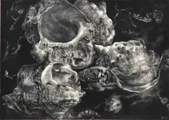 Aart van Dobbenburgh, De Drie Schelpn ll, 1954, etching