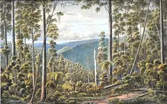 Eugene von Guerard, Forest Cape, Otway Ranges, chromolithograph