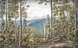 Eugene von Guerard, Forest Cape, Otway Ranges