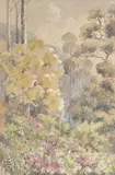 Ellis Rowan, Macedon Landscape with Wildflowers