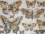 David Bromley, Butterflies, oil and silver leaf on canvas