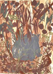Clifton Pugh, Wombat, 1984, screenprint 35/70