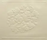 Alun Leach-Jones, White Constellation
