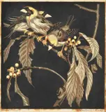 Norbertine Bresslern-Roth, Finches and Berries