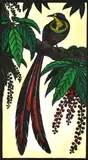 Leslie van der Sluys, Princess Stephanie's Bird of Paradise