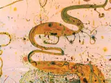 John Olsen, Wetlands, 2008, glicee print 6/150