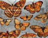 David Bromley, Orange Butterflies, oil on canvas, signed lower centre, 122 x 153cm