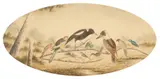 H. Hepburn Calvert, Australian Eleven, 1916, watercolour