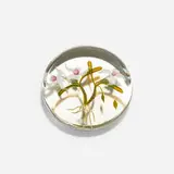 Paul Stankard, Paperweight