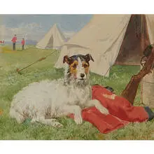 Charles Collins, Terrier at a Military Encampment