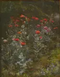 Mary Annie Stone, Untitled, ‘POPPIES’ Signed and dated February 1894-98 Watercolour 25 x 20cm