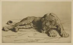 Untitled by Herbert Dicksee, Herbert Thomas Dicksee RE (1862-1942) LIONESS SLEEPING Etching, sold Jun 2019
