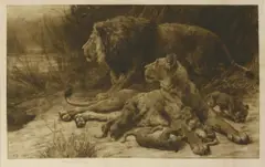 Untitled by Herbert Dicksee, LIONS Etching on vellum, sold Jun 2019