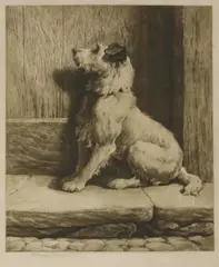 Untitled by Herbert Dicksee, A TERRIER Etching on vellum, sold Jun 2019