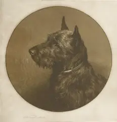 Untitled by Herbert Dicksee, A SCOTTISH TERRIER Etching on vellum, sold Jun 2019