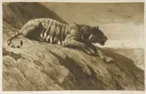Herbert Dicksee, Untitled
