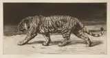 Herbert Dicksee, Untitled