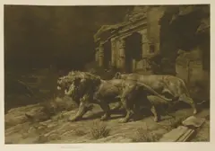 Herbert Dicksee, Untitled, A LION AND LIONESS Etching on vellum