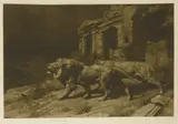Herbert Dicksee, Untitled