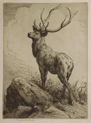 Untitled by Herbert Dicksee, Herbert Thomas Dicksee RE (1862-1942) A STAG Etching, sold Jun 2019