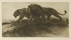 Untitled by Herbert Dicksee, A LION AND LIONESS Dry point etching on Japan paper, sold Jun 2019