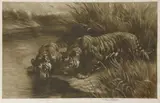 Herbert Dicksee, Untitled
