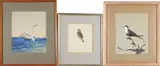 Robert Verity Clem, Three Framed Watercolors:, Wren, Tern on Driftwood, and Tern in Flight; each signed 'Robert Verity Clem' (lower right)