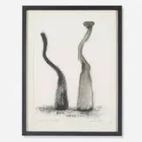 David Nash, Oak Ubus-Ash, 1990, charcoal on paper
