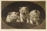 Herbert Dicksee, Untitled