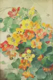 Katherine Cameron, Untitled