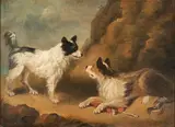 British School, Two Spaniels, unsigned oil on canvas