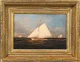 James Edward Buttersworth, Racing Yacht, Identified as the Sloop Yacht 'Haswell', Oil on paper or paperboard mounted to wood